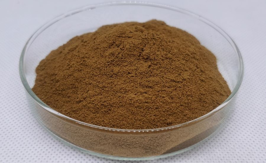 rhodiola rosea root powder_