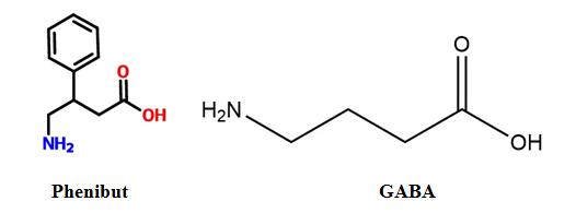 phenibut and GABA