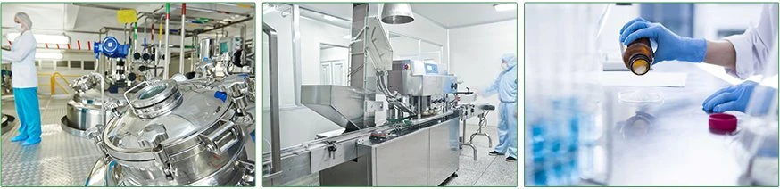 final factory2