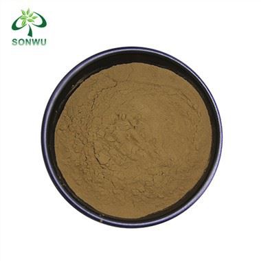 Pó de Jurheira de Leão A granel