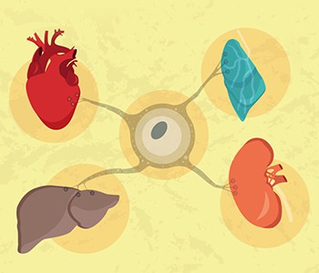 Todo mundo conhece a Gardênia da Medicina Tradicional Chinesa?