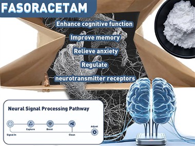 O Fasoracetam (NS-105) pode ajudar no tratamento do TDAH? Novos insights sobr...