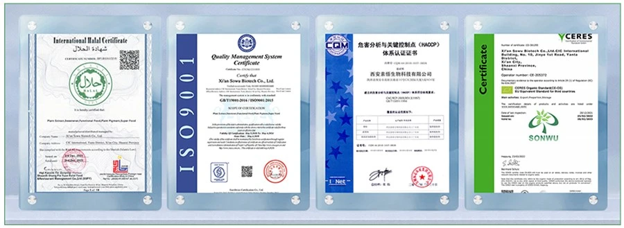 certificates-2 certificates-2